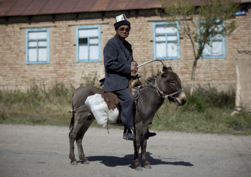 Old Man With Kalpak Hat Riding A Donkey, Kyzart Village, Kyrgyzstan