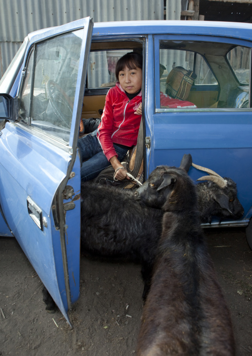 Girl Watching Goats From The Lada Car In Which She Is Sitting, Animal Market Of Kochkor, Kyrgyzstan