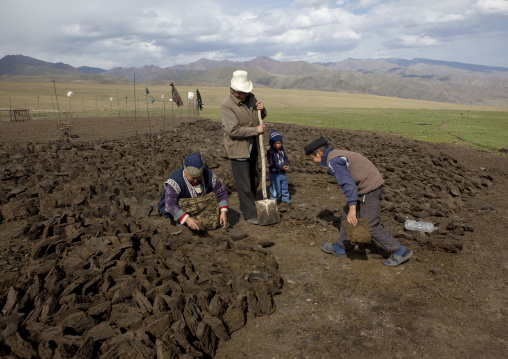 Old Couple And Children Gathering Dung For Combustible, Saralasaz Jailoo Area, Kyrgyzstan