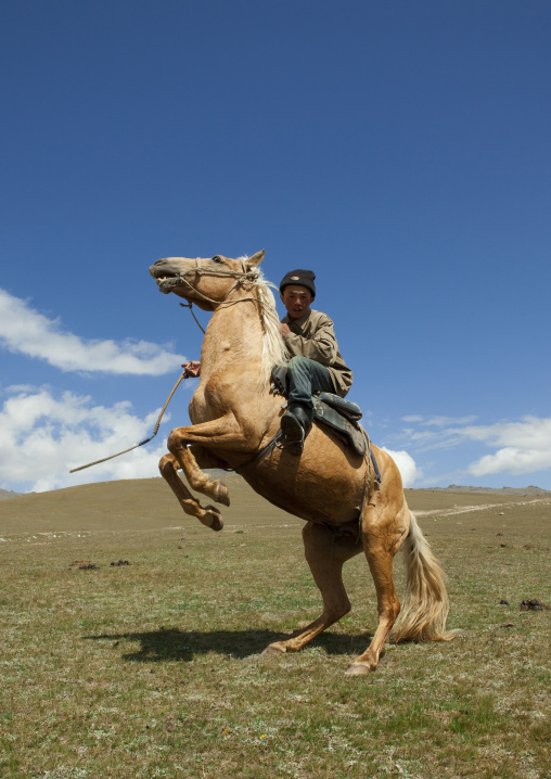 Horseman Rearing Up His Horse, Song Kol Lake Area, Kyrgyzstan