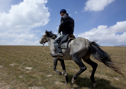 Horseman In The Steppe, Song Kol Lake, Kyrgyzstan