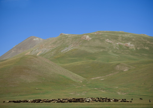 Herd Of Sheep At The Foot Of A Hill, Jaman Echki Jailoo Village, Song Kol Lake Area, Kyrgyzstan