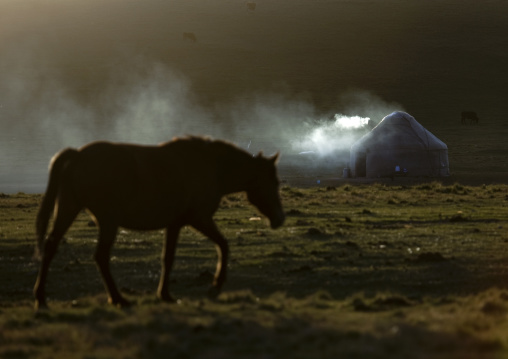 Horse In Front Of A Smoking Yurt In Jaman Echki Jailoo Village, Song Kol Lake Area, Kyrgyzstan