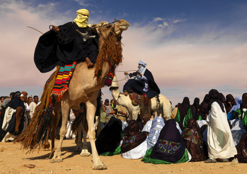 Tuareg dance with camels, Tripolitania, Ghadames, Libya