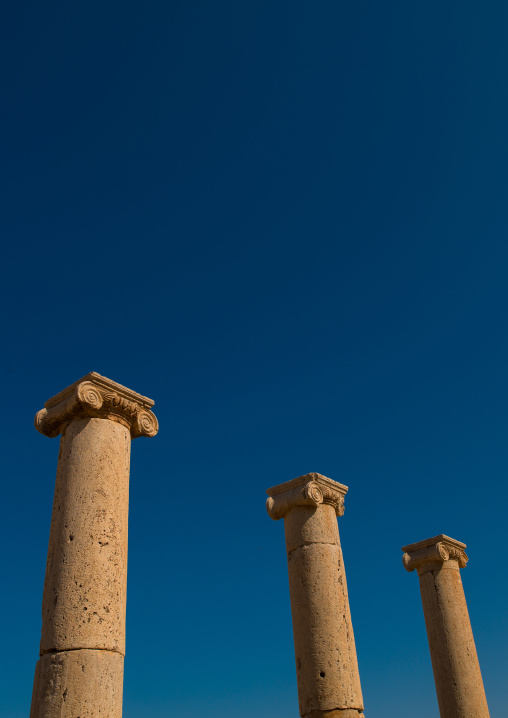 Roman column in the old forum in leptis magna, Tripolitania, Khoms, Libya
