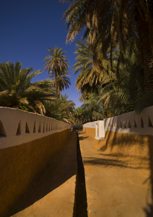 Narrow street in the oasis, Tripolitania, Ghadames, Libya