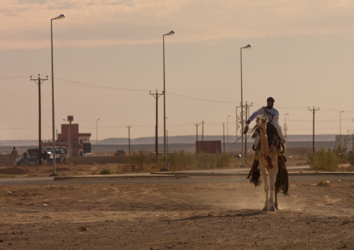 Tuareg man riding his camel along a modern road, Tripolitania, Ghadames, Libya