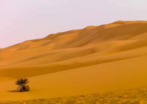 Dunes in ubari desert, Fezzan, Umm al-Maa, Libya