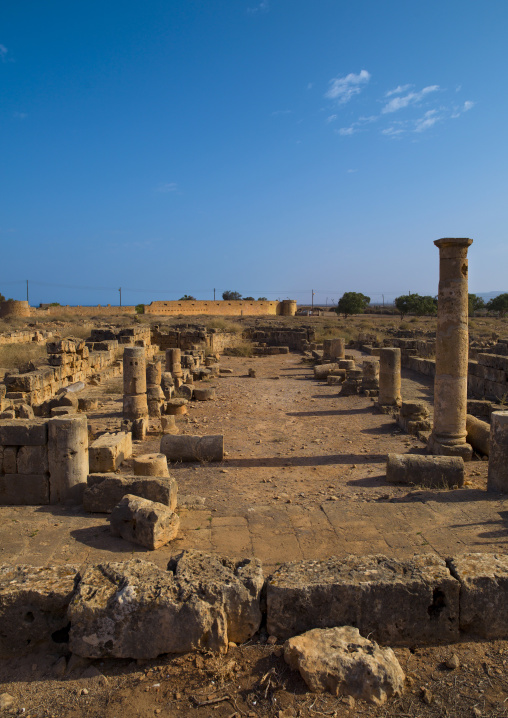 Roman ruins, Cyrenaica, Tocra, Libya