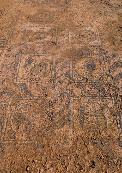 Roman mosaic, Cyrenaica, Tocra, Libya