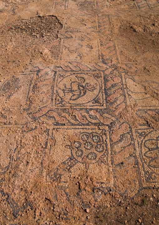 Roman mosaic, Cyrenaica, Tocra, Libya