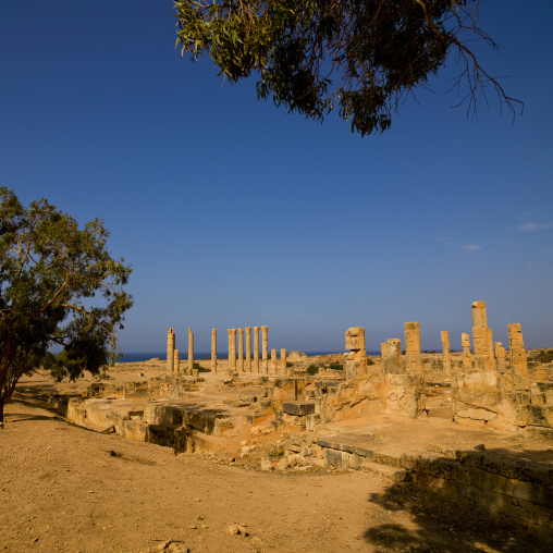 Villa of columns in ptolemais ruins, Cyrenaica, Ptolemais, Libya