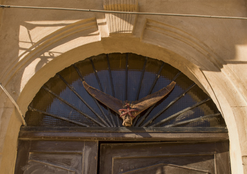Dried shark tail on a house door, Tripolitania, Tripoli, Libya