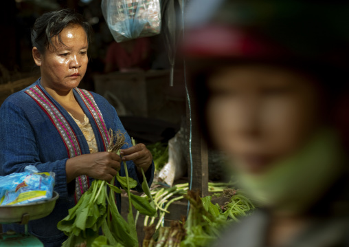 Woman selling vegetables on a market pakse, Laos