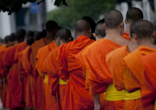 Lao buddhist monks collecting alms, Luang prabang, Laos