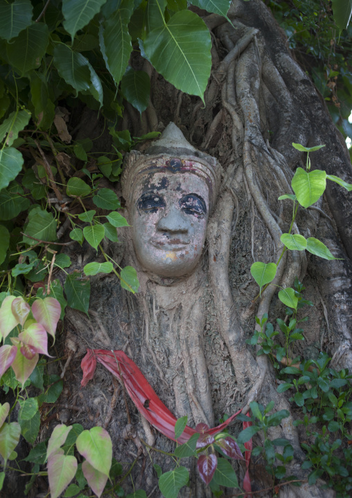 Buddha statue made in a tree, Savannakhet, Laos