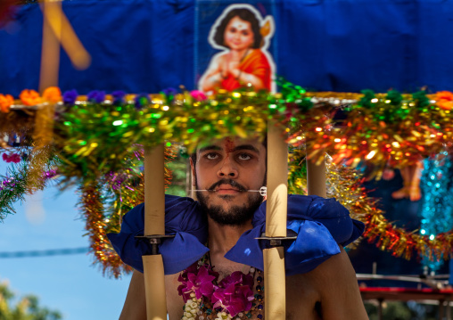 Devotee Kavadi Bearer With Tongue Piercing At Thaipusam Hindu Religious Festival In Batu Caves, Southeast Asia, Kuala Lumpur, Malaysia