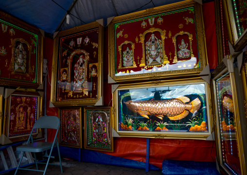 Giant Fish Framed Sold In The Thaipusam Religious Festival In Batu Caves, Southeast Asia, Kuala Lumpur, Malaysia
