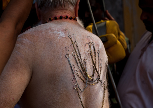 Hindu Devotee In Thaipusam Religious Festival In Batu Caves With His Back Pierced With Hooks And Chains, Southeast Asia, Kuala Lumpur, Malaysia