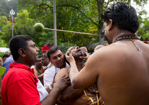 A Devotee Cheek Is Pierced By A Priest At Thaipusam Hindu Festival At Batu Cave, Southeast Asia, Kuala Lumpur, Malaysia
