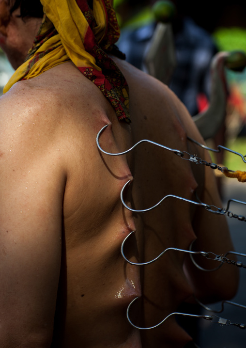 A Devotee Has His Back Pierced With Hooks During The Thaipusam Hindu Festival At Batu Caves, Southeast Asia, Kuala Lumpur, Malaysia