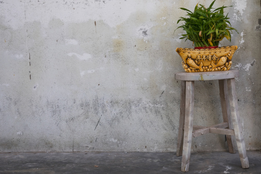 Plant In Pot On A Stool In The Street, Penang Island, George Town, Malaysia