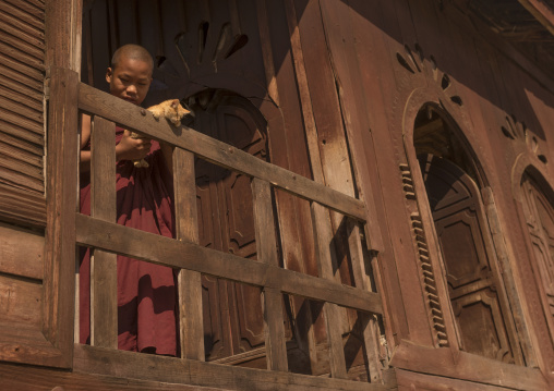 Novice Buddhist With A Cat In Shwe Yan Pyay Monastery, Inle Lake, Myanmar