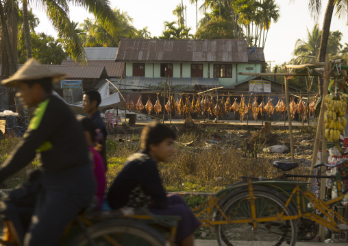 Caught Fish Filletted And Hanging Out To Dry, Sittwe, Myanmar