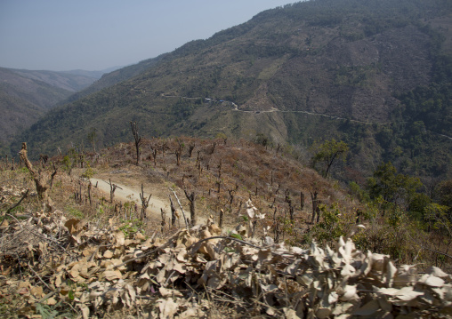 After A Forest Fire, Mindat, Myanmar