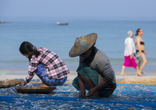 Women Putting Dried Fish On The Floor In Front Of Tourists Passing, Ngapali, Myanmar