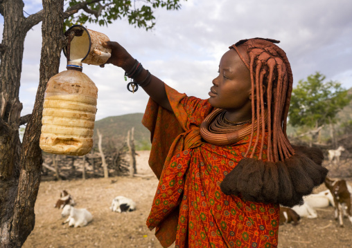 Himba Woman Collecting Milk, Epupa, Namibia