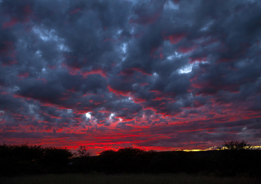Red Sky, Okonjima, Namibia