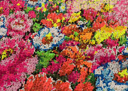 Flowers made by children pixels holding up colored boards during Arirang mass games in may day stadium, Pyongan Province, Pyongyang, North Korea