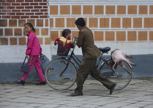 North Korean man pushing a bicycle with a pig on the luggage rack, North Hwanghae Province, Kaesong, North Korea