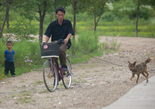 North Korean man cycling with a dog attached to his bicycle, North Hwanghae Province, Kaesong, North Korea