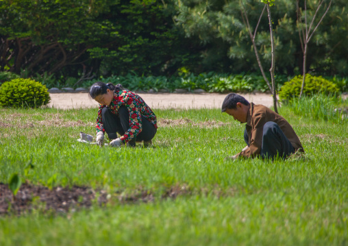 North Korean farmers working in a field, North Pyongan Province, Myohyang-san, North Korea