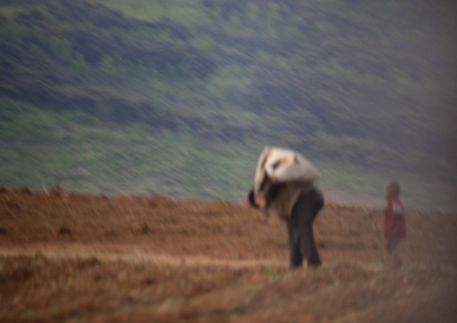 North Korean man carrying a heavy bag in a field, South Pyongan Province, Nampo, North Korea