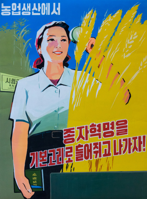North Korean propaganda poster depicting a farmer woman, Pyongan Province, Pyongyang, North Korea