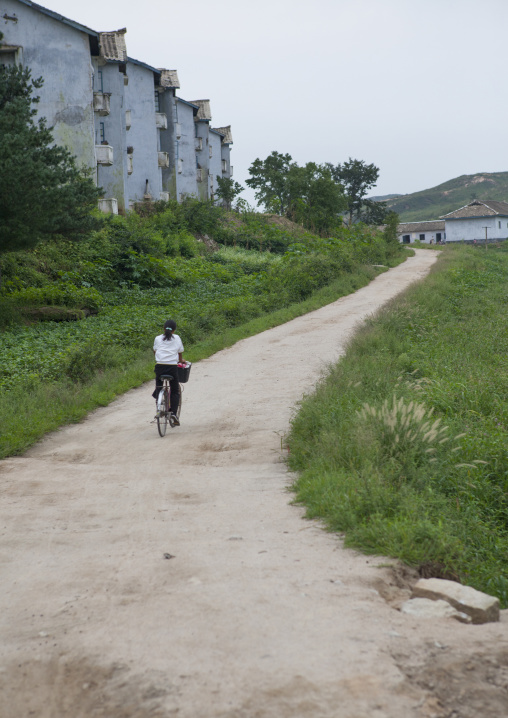 North Korean woman riding a bicycle in the countryside, North Hwanghae Province, Kaesong, North Korea