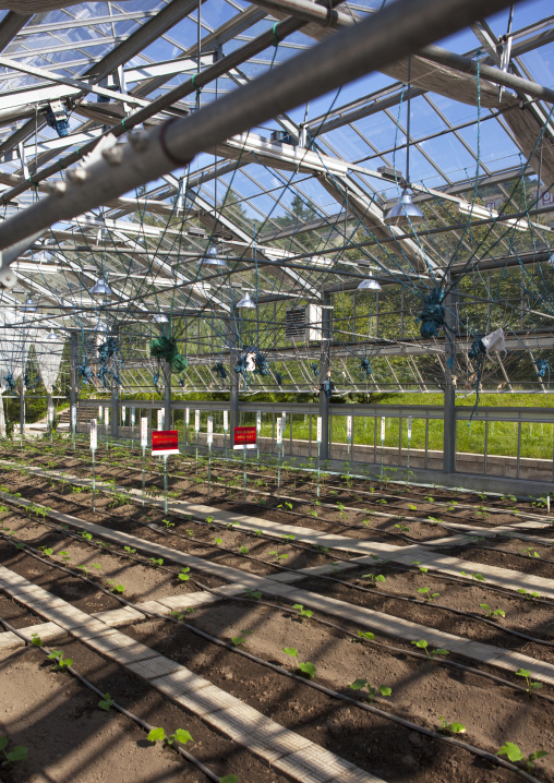 Greenhouse in agriculture university, South Hamgyong Province, Hamhung, North Korea