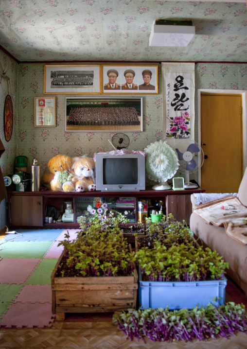 North Korean living room in a homestay, North Hamgyong Province, Jung Pyong Ri, North Korea