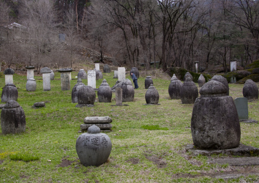 Funerary jars and steles for the monks in Pohyon temple, Hyangsan county, Mount Myohyang, North Korea