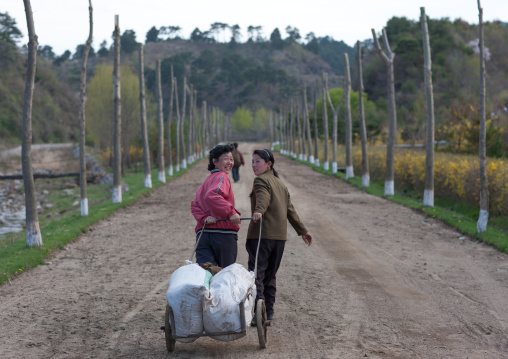 North Korean women pulling a cart in a farm, North Hamgyong Province, Jung Pyong Ri, North Korea