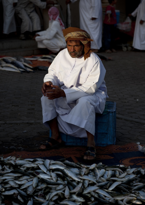 Fish Seller In Dishdasha Behind Of A Mass Of Sardines, Nizwa Fish Market, Oman