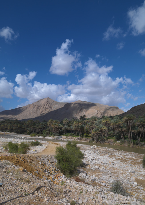 Scenery Of Mountains And Palm Trees In Wadi Bani Khalid, Sharqiyah Region, Oman