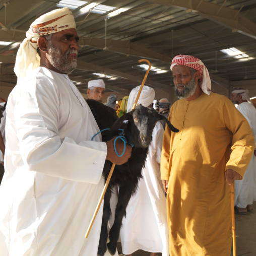 Man Carring A Black Goat In Sinaw Cattle Market, Oman