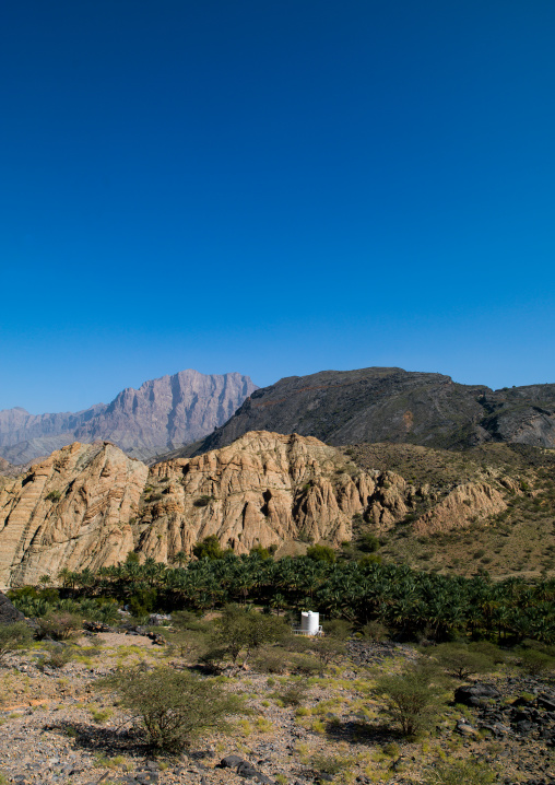Oasis in a mountain landscape, Al Hajar Mountains, Bilad Sayt, Oman