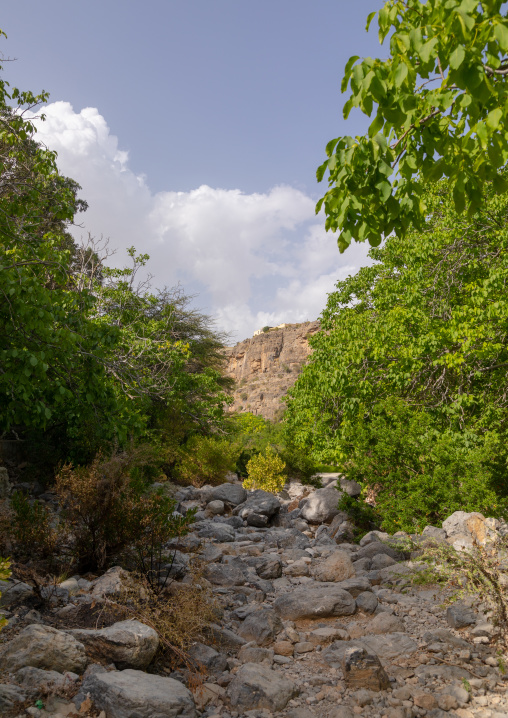 Dry wadi, Jebel Akhdar, Wadi Bani Habib, Oman