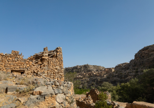 Stone and mudbrick houses in an abandoned village, Jebel Akhdar, Wadi Bani Habib, Oman
