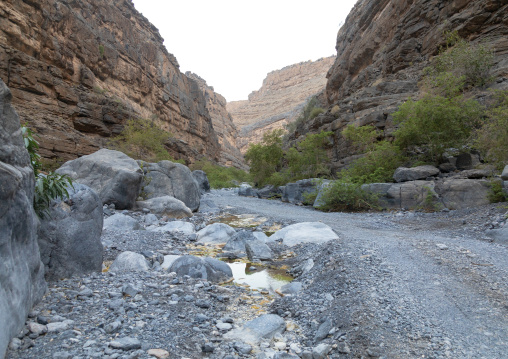 Wadi al nakhar, Ad Dakhiliyah Region, Wadi Al Nakhar, Oman